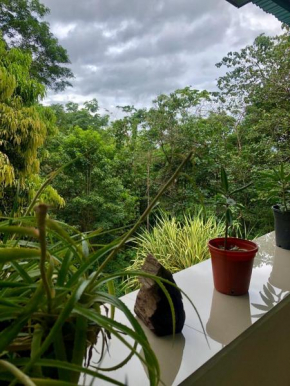 San Rafael Ecolodge
